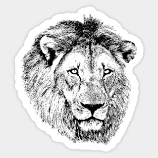 Male Lion Portrait | African Wildlife Sticker